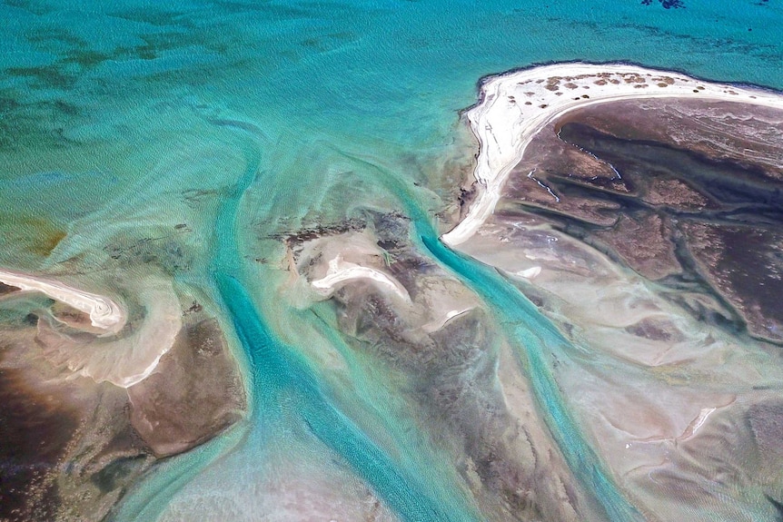 Arial shot of Shark Bay, WA.