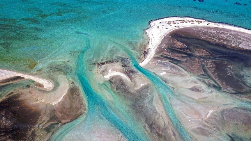 Arial shot of Shark Bay, WA.