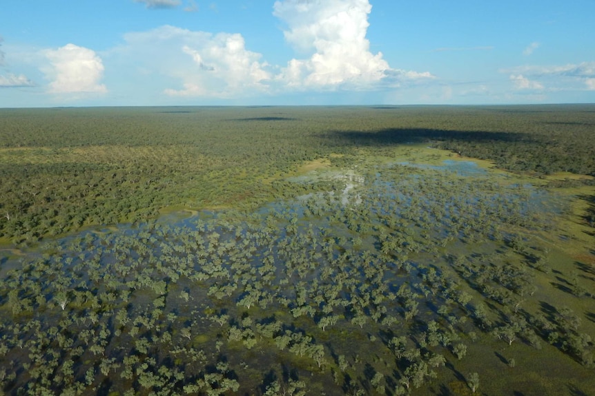 An aerial photograph of the Beetaloo Basin depicting flooded bushland.