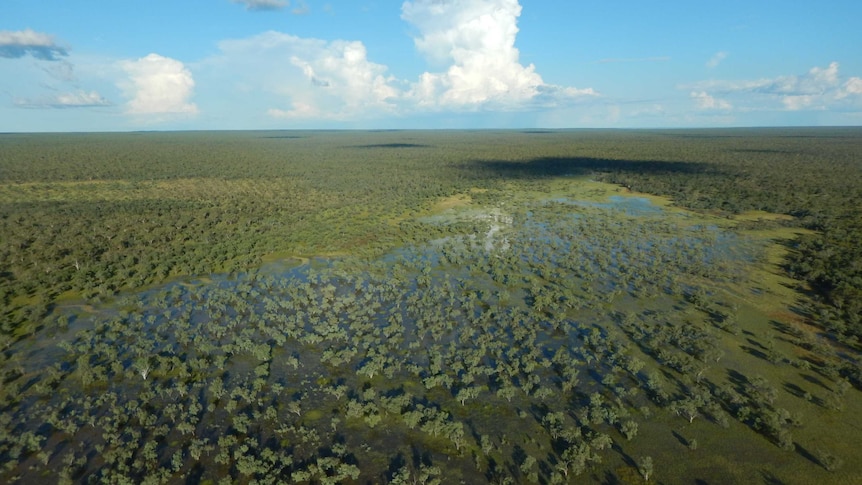 An aerial photograph of the Beetaloo Basin depicting flooded bushland.