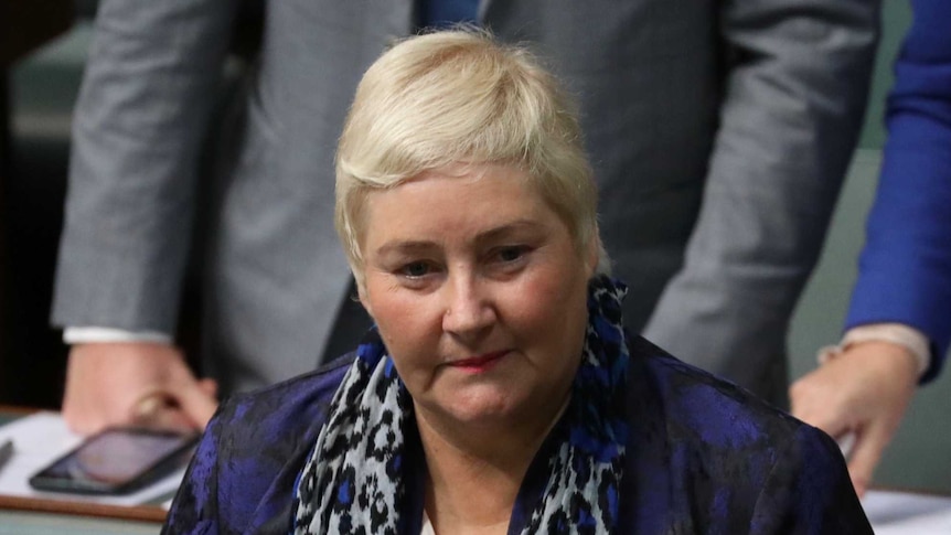 Ann Sudmalis, wearing a blue and grey leopard-print scarf and patterned blazer, stands in the House of Reps.