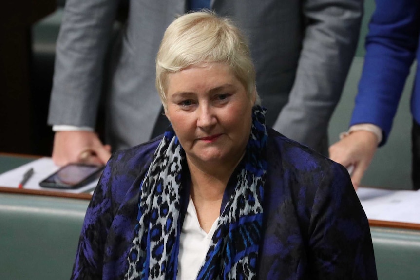 Ann Sudmalis, wearing a blue and grey leopard-print scarf and patterned blazer, stands in the House of Reps.