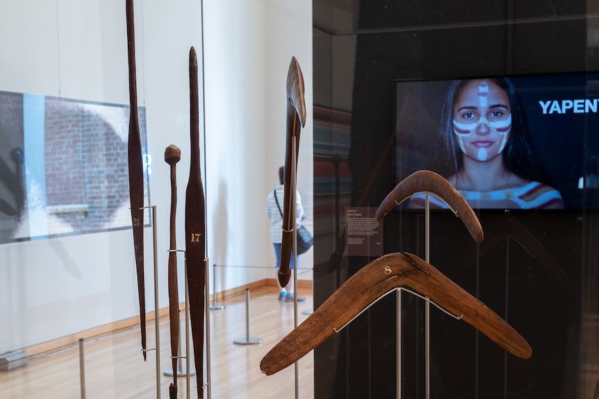 Boomerangs, spears and other indigenous objects on display in an art gallery.