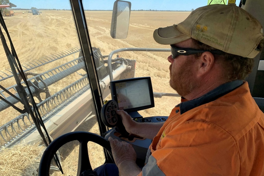 A man wearing driving a header to harvest a wheat crop in a paddock.