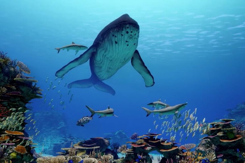 Great Barrier Reef recreated using artificial intelligence giving city ...