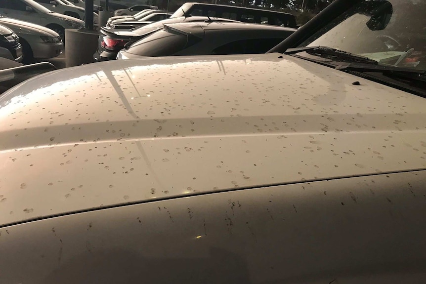 Specks of grey ashy water are seen on the bonnet of a four-wheel drive