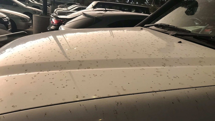 Specks of grey ashy water are seen on the bonnet of a four-wheel drive