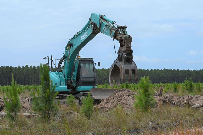 A digger begins work on the site of the proposed Forest Wind project.