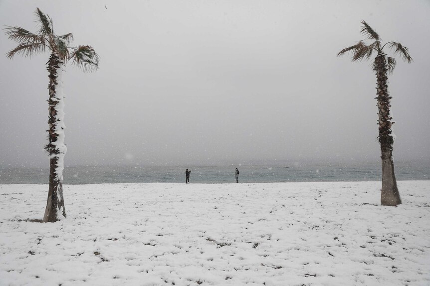 Palm trees are covered in snow as people take photos on a Greek beach.