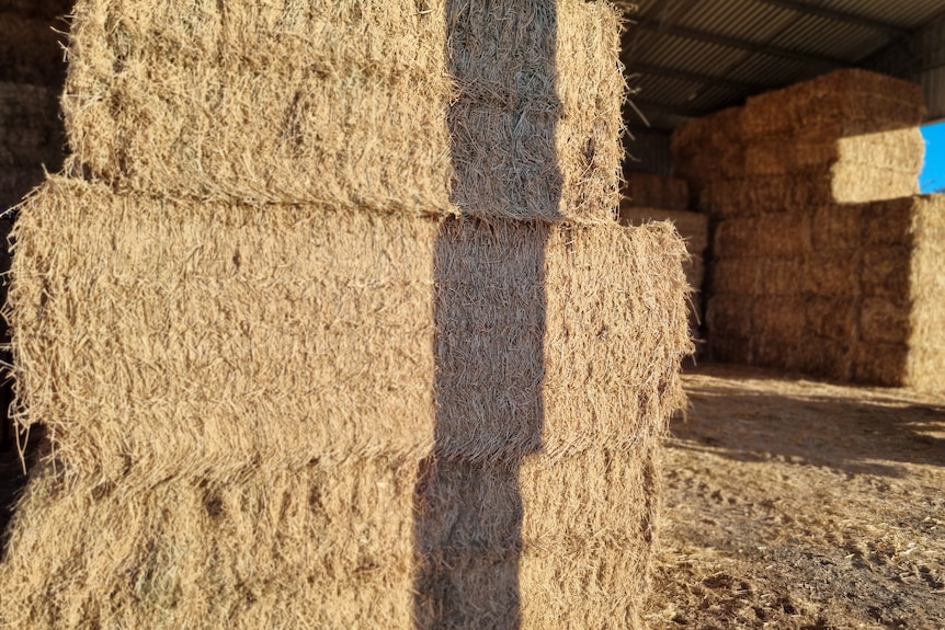 Bales of hay stacked in  a shed.