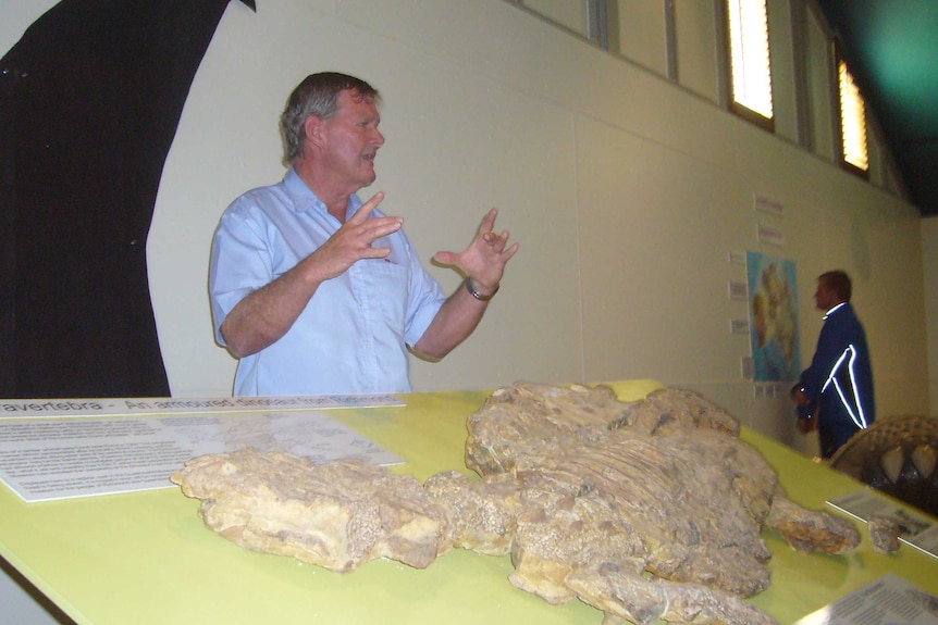 A man in an ironed blue button up shirt stands before a fossil, his hands are up to indicate a distance and he looks away.