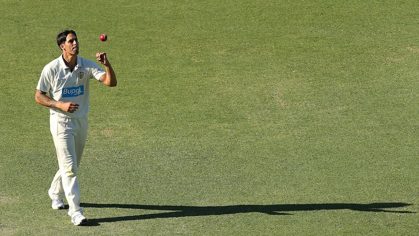 Mitchell Johnson at the WACA in the Sheffield Shield against South Australia.