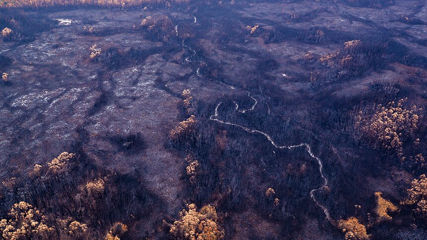 Scorched earth in Tasmanian bushfire