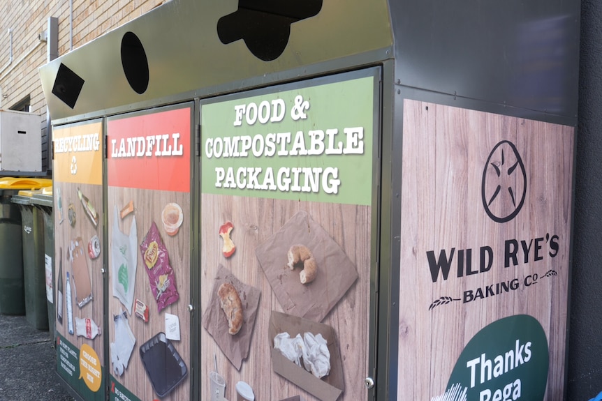 Bins for landfill, compost and recycling with sample images displayed on the bin