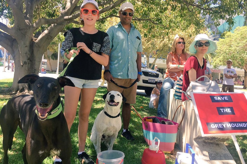 People with their dogs pose for a photo next to a sign reading 'save the greyhounds'.