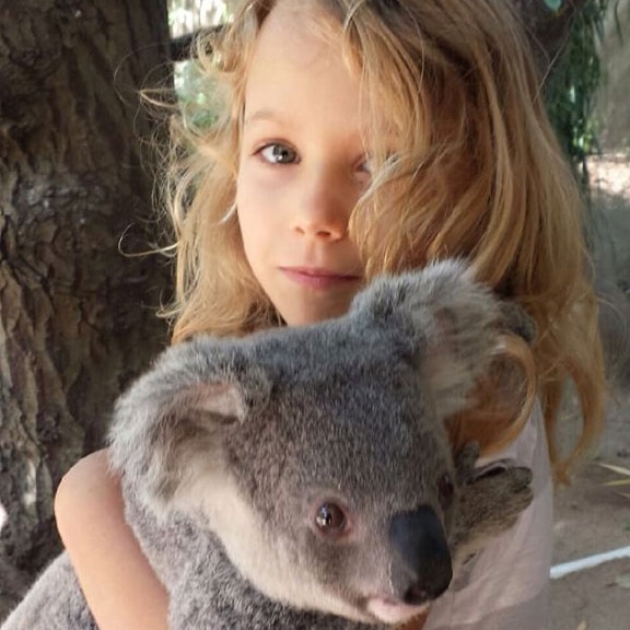 Isabella Bee with an injured koala from her family's koala hospital