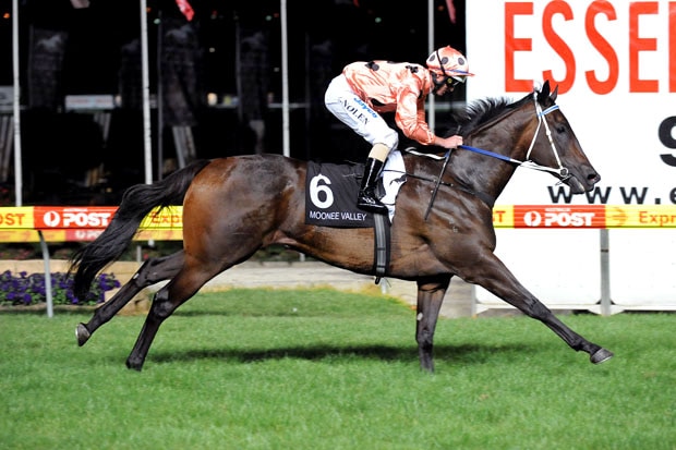 Black Caviar wins the Australia Stakes