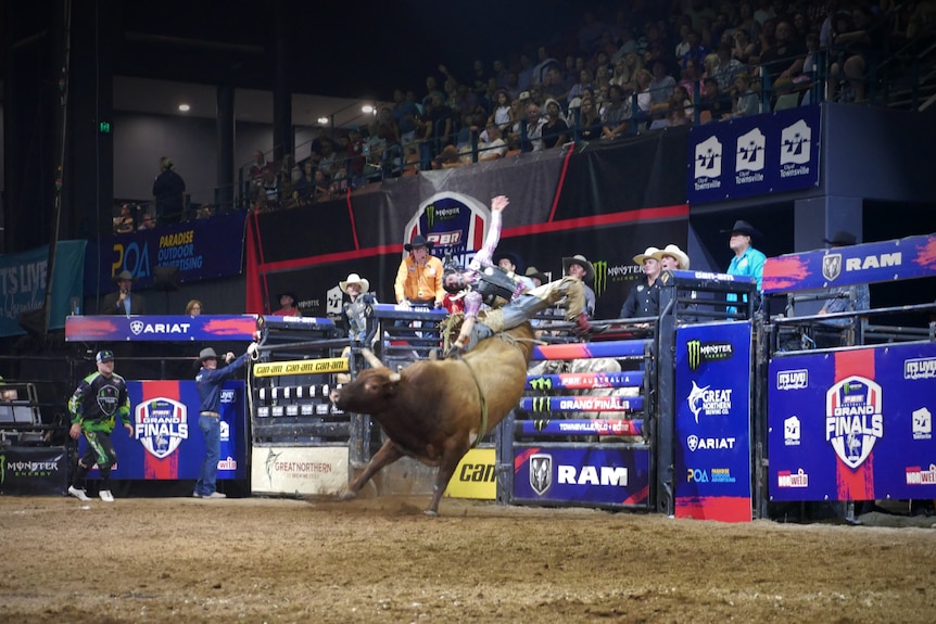 Cowboy rides a bucking bull at an event 