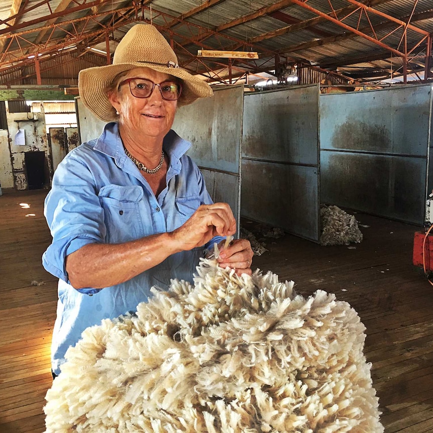 A woman inspects a wool fleece in a shearing shed.
