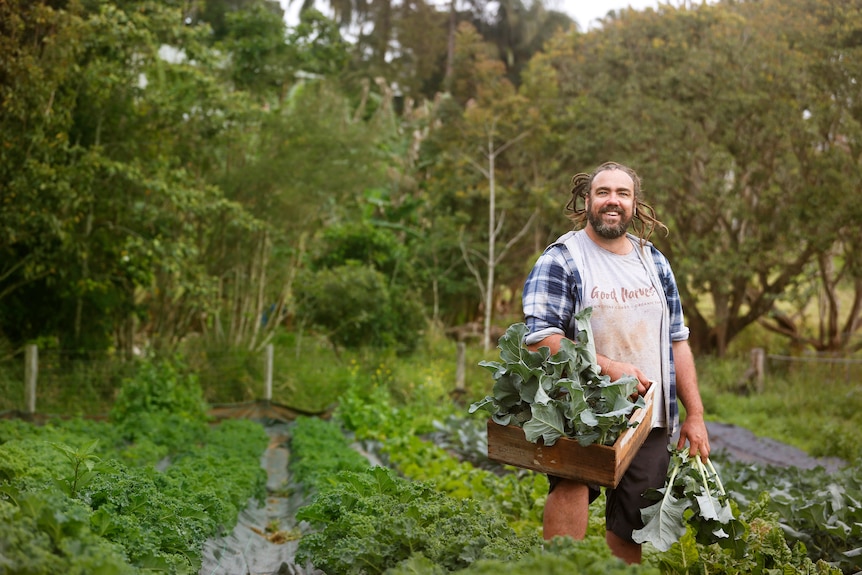 A farmer standing in a field of greens.