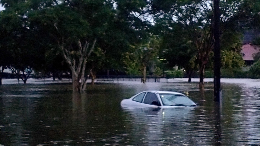 Floodwaters cover a car in East Brisbane.