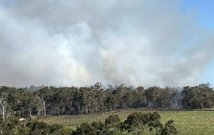 A plume of smoke over a green field and trees