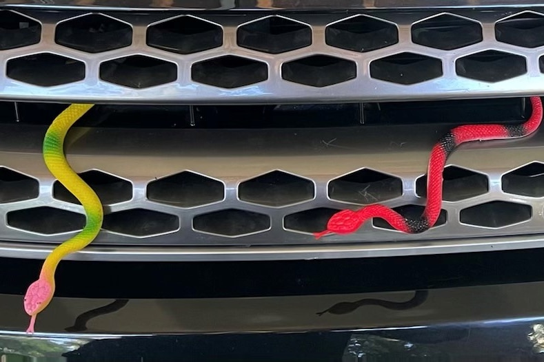 Kolorowe fałszywe węże na samochodzie