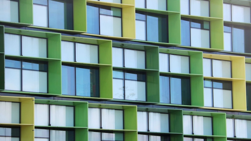 A tight shot of window frames at Perth Children's Hospital with green panels on the outside.