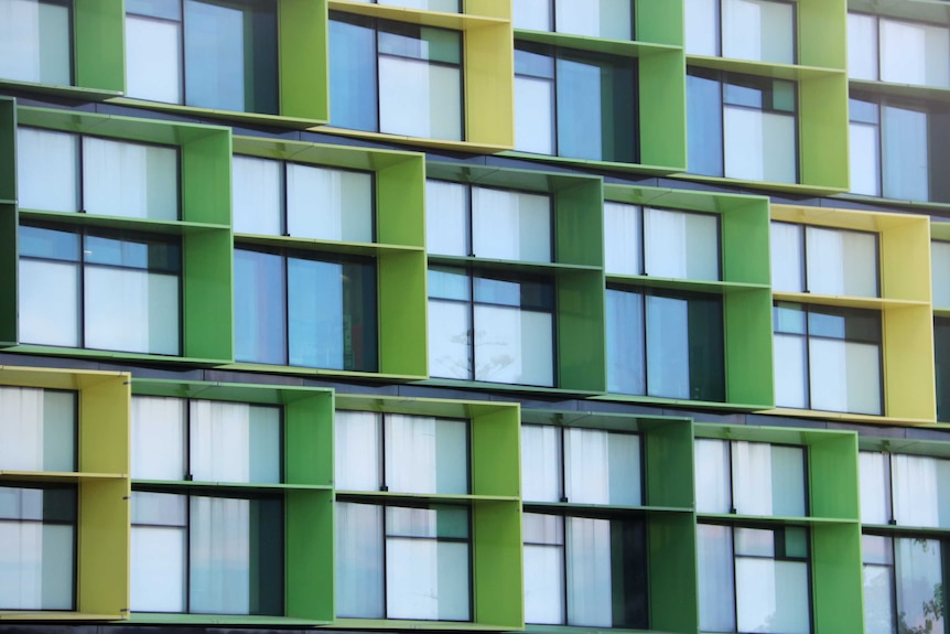 A tight shot of window frames at Perth Children's Hospital with green panels on the outside.