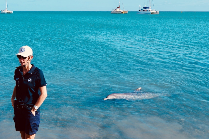 Dolphin instructor with dolphin in background