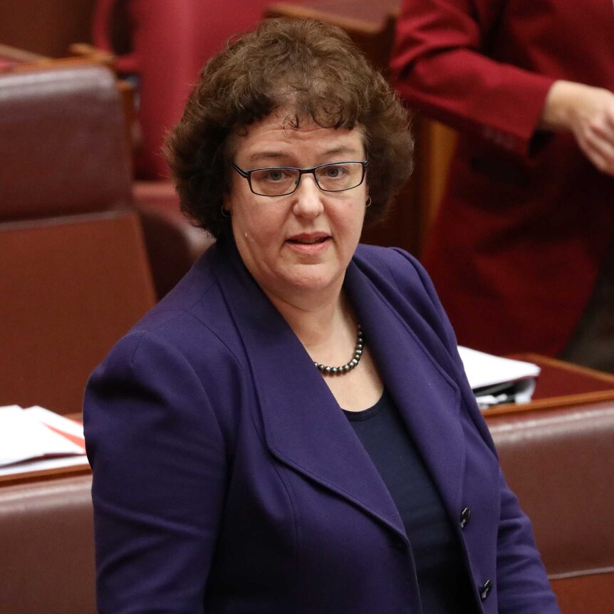 Jacinta Collins in parliament