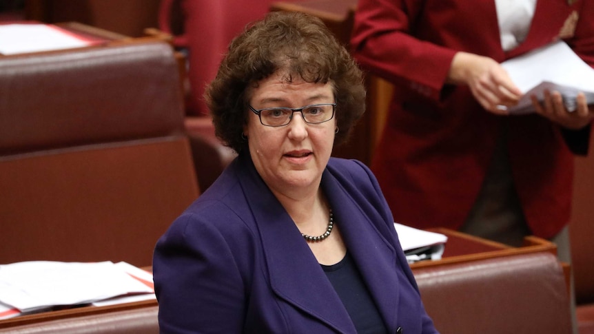 Jacinta Collins in parliament