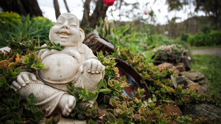 A small cement Buddha statue sits amid succulent plants at the base of a tree.