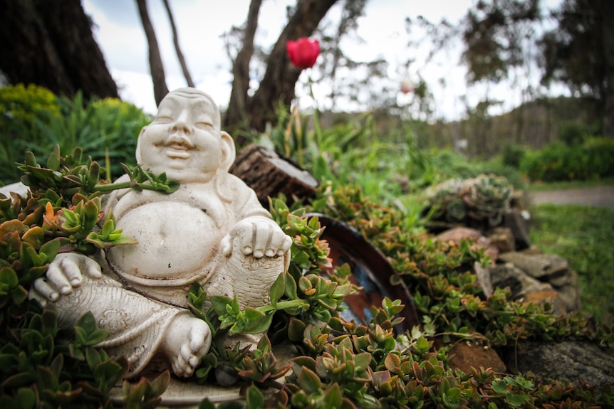 A small cement Buddha statue sits amid succulent plants at the base of a tree.