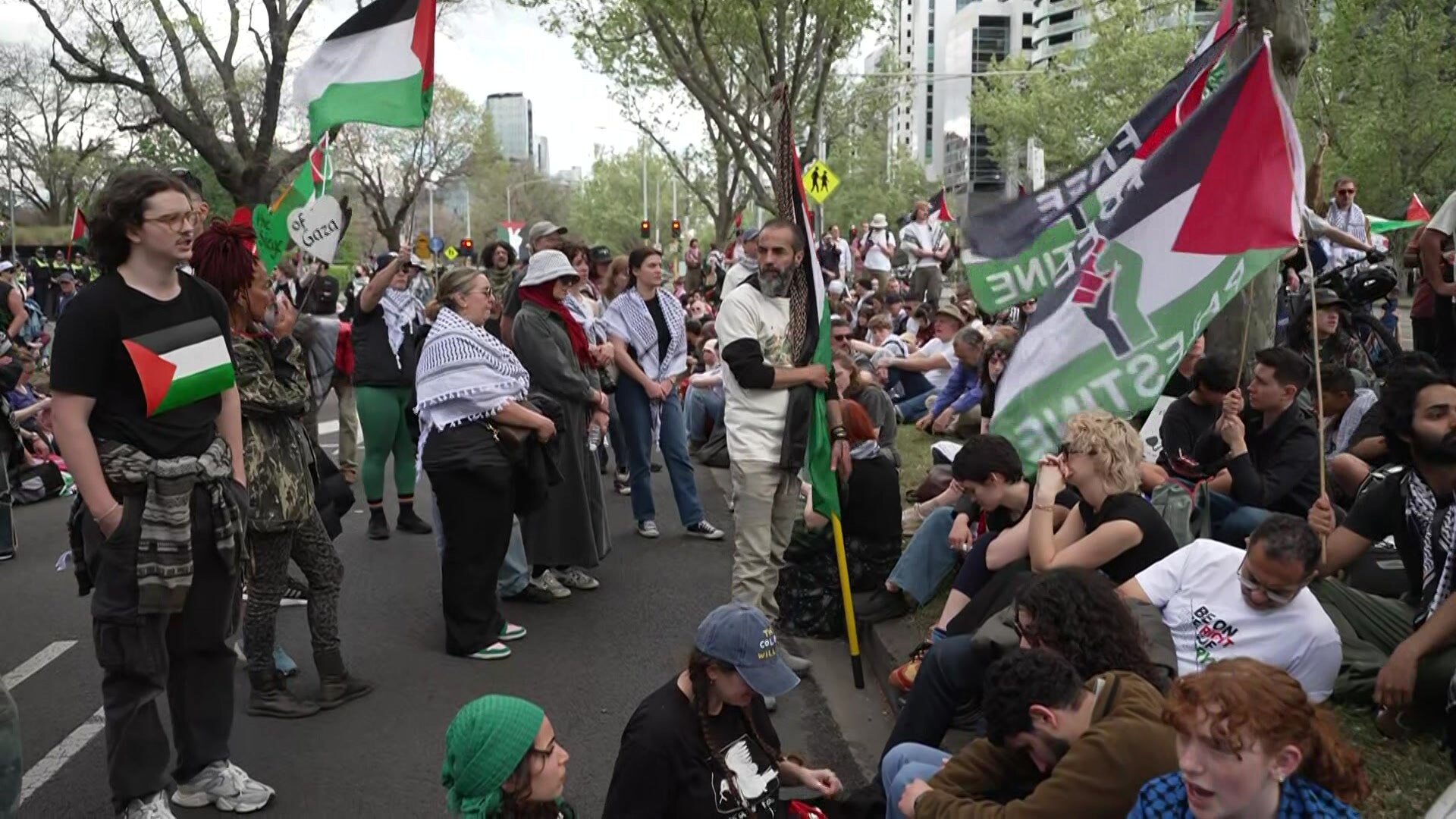 Pro-Palestinian protesters with flags standing in street