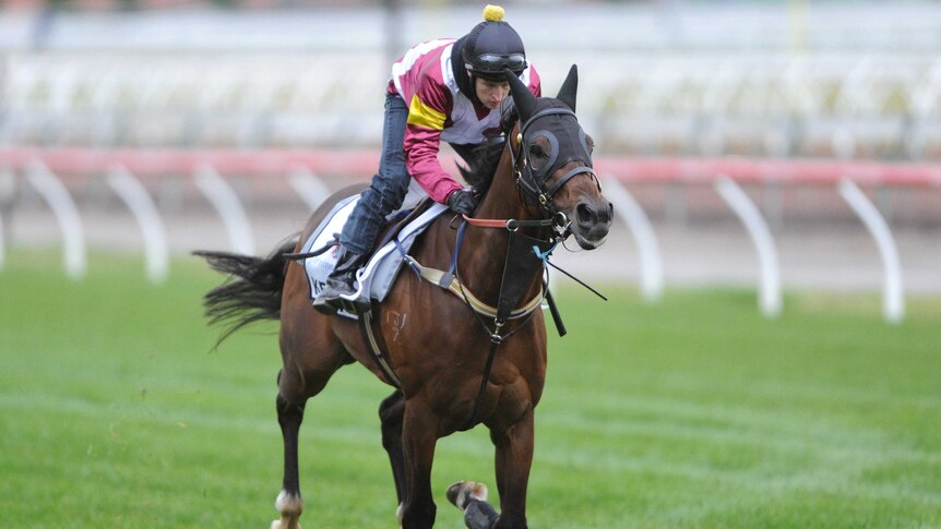 Kelinni works at Flemington