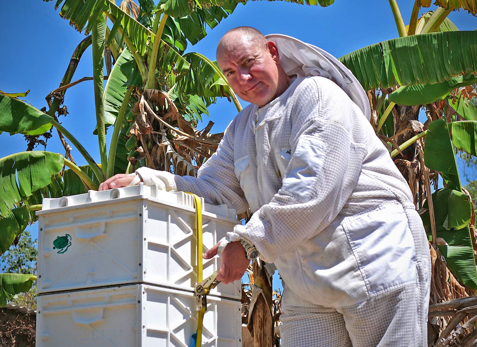 Townsville beekeeper provides tips for keeping bees safe during a storm ...