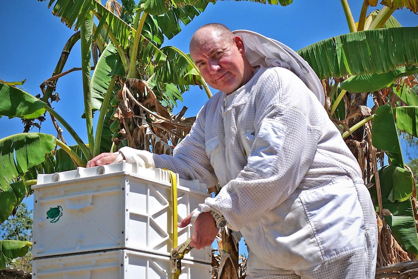 Beekeeper Mick Olsen attaches a ratchet strap to a beehive