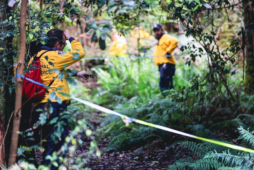 men in the bush 