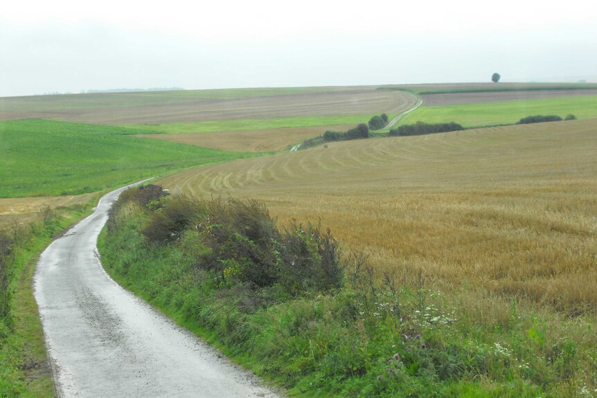 Verdant fields roll into the distance as a thin stone road weaves its way between them