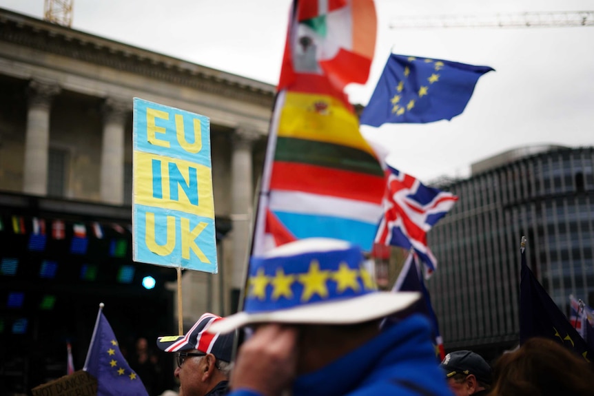 Banners at a pro-EU rally in the UK