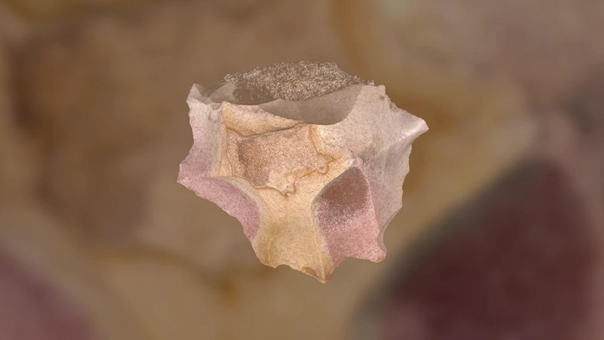 A piece of spongelite