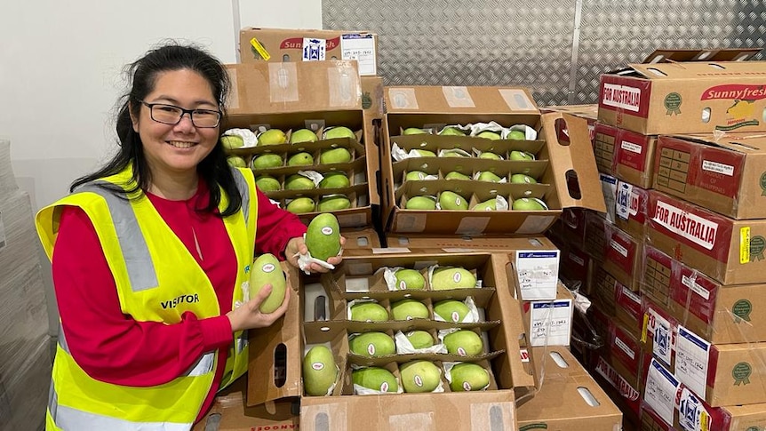 Zona Tan-Sheppard from the Thorny Fruit Company holding mangoes imported from Philippines