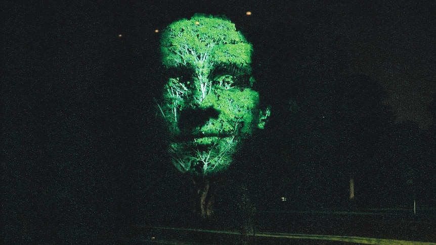 A large face is projected onto the canopy of a tree