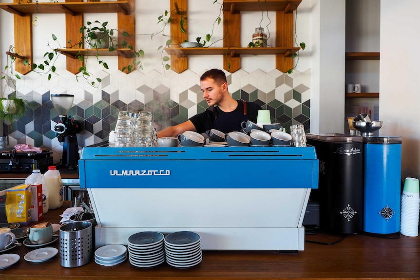 A barista stands behind a blue and white coffee machine in a cafe with plants on a wall behind him.