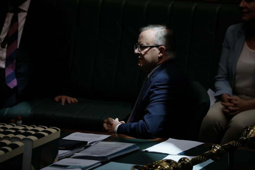Albanese sitting in a patch of sunlight at the dispatch box in parliament, surrounded by shadow.
