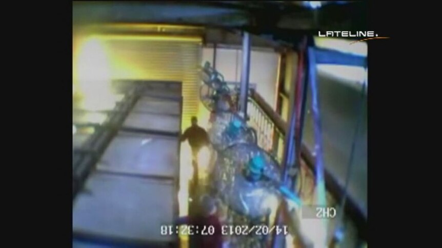 Video footage of workers at an Inghams slaughterhouse (Lateline)
