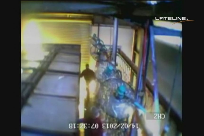 Video footage of workers at an Inghams slaughterhouse (Lateline)