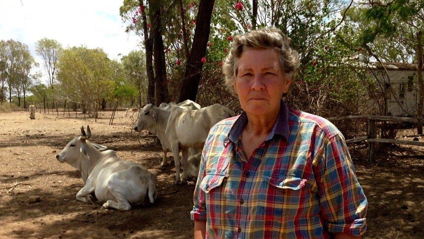 Charters Towers cattle producer Sally Witherspoon stands in front of her cattle.
