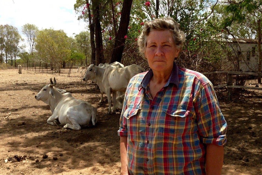 Charters Towers cattle producer Sally Witherspoon stands in front of her cattle.